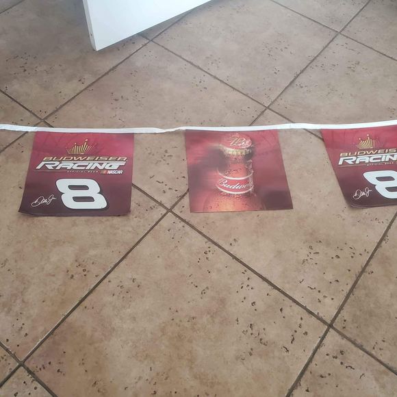 25 foot Dale Earnhardt Jr Rally Flag #8 Nascar Pennant Flag - Picture 3 of 3